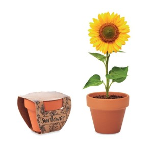 Terracotta pot 'sunflower' (Gardening)