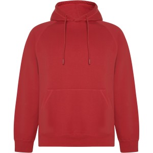 Vinson unisex hoodie, Red (Pullovers)