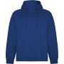 Vinson unisex hoodie, Royal
