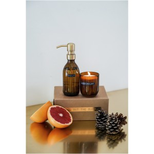 Wellmark Discovery 200 ml hand soap dispenser and 150 g scen (Body care products)